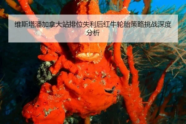 维斯塔潘加拿大站排位失利后红牛轮胎策略挑战深度分析